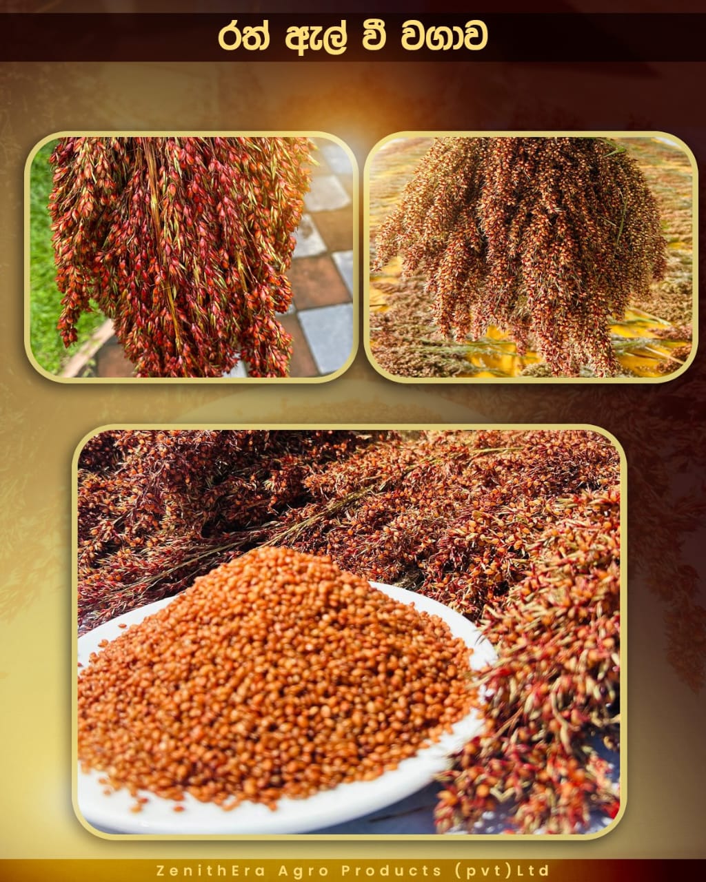 agriculture-company-sri-lanka-37